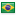 braziliaans vlag